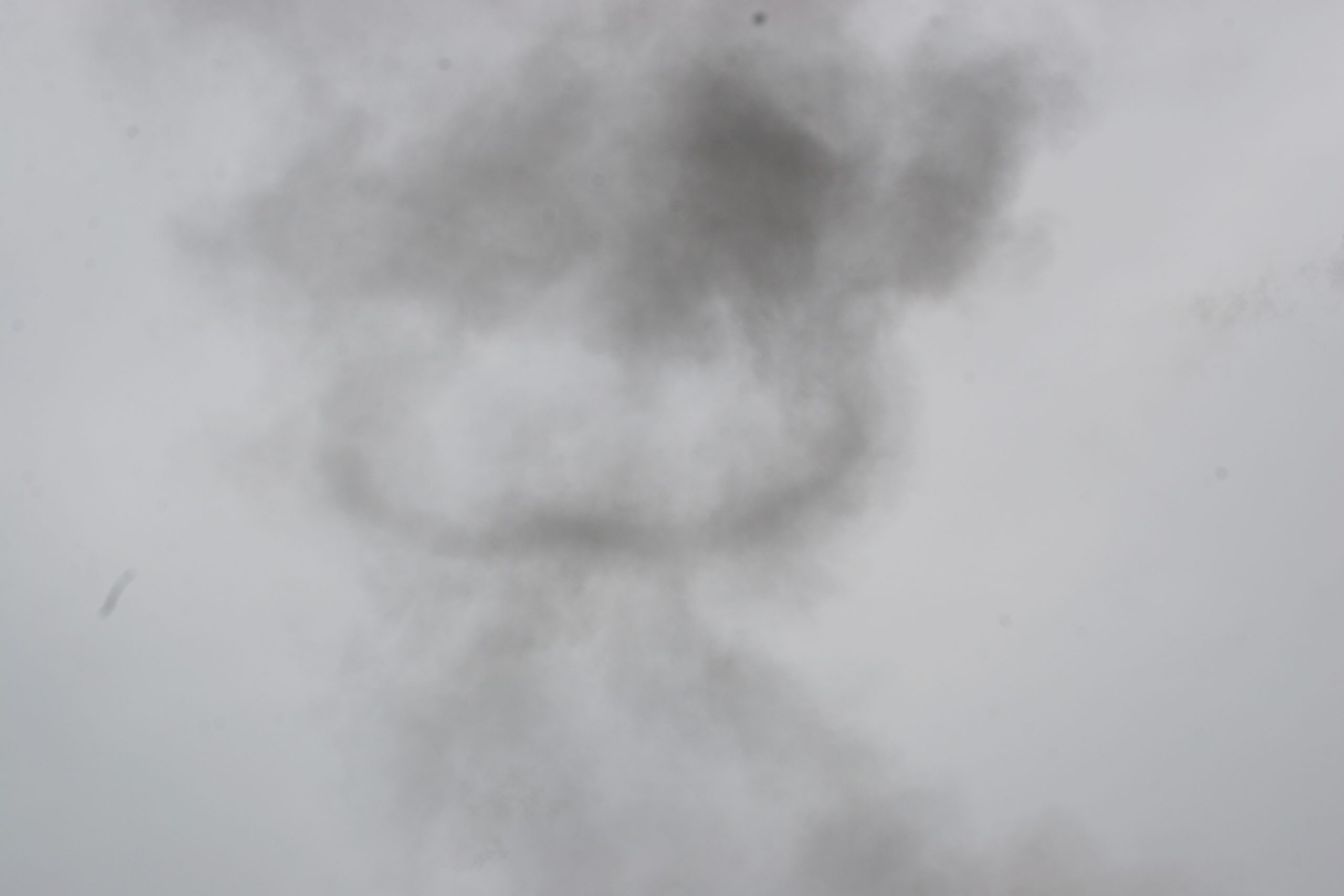 Airshows