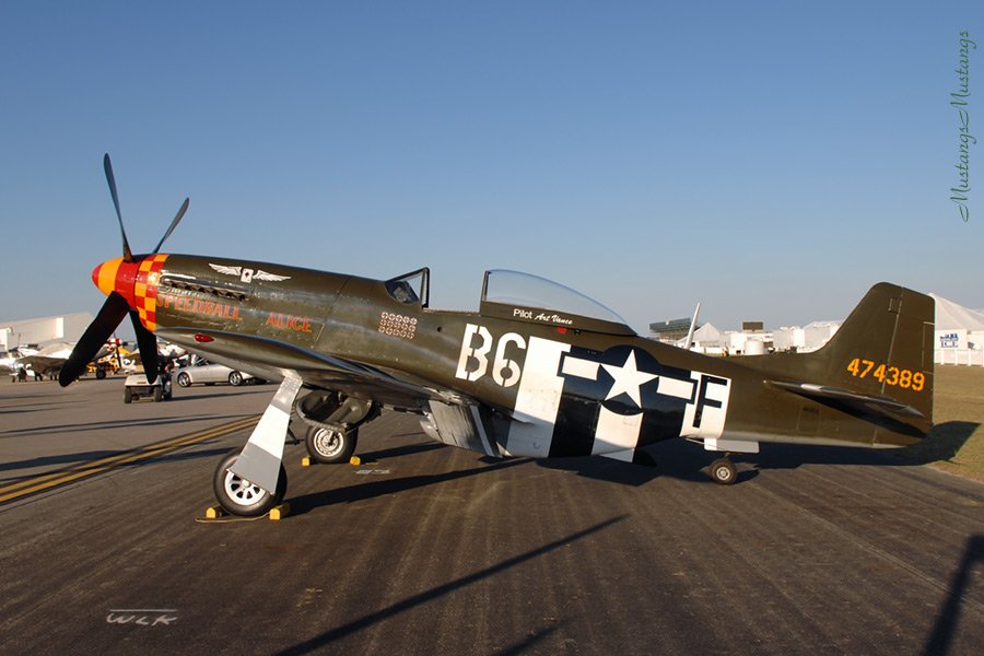 P51 Mustang